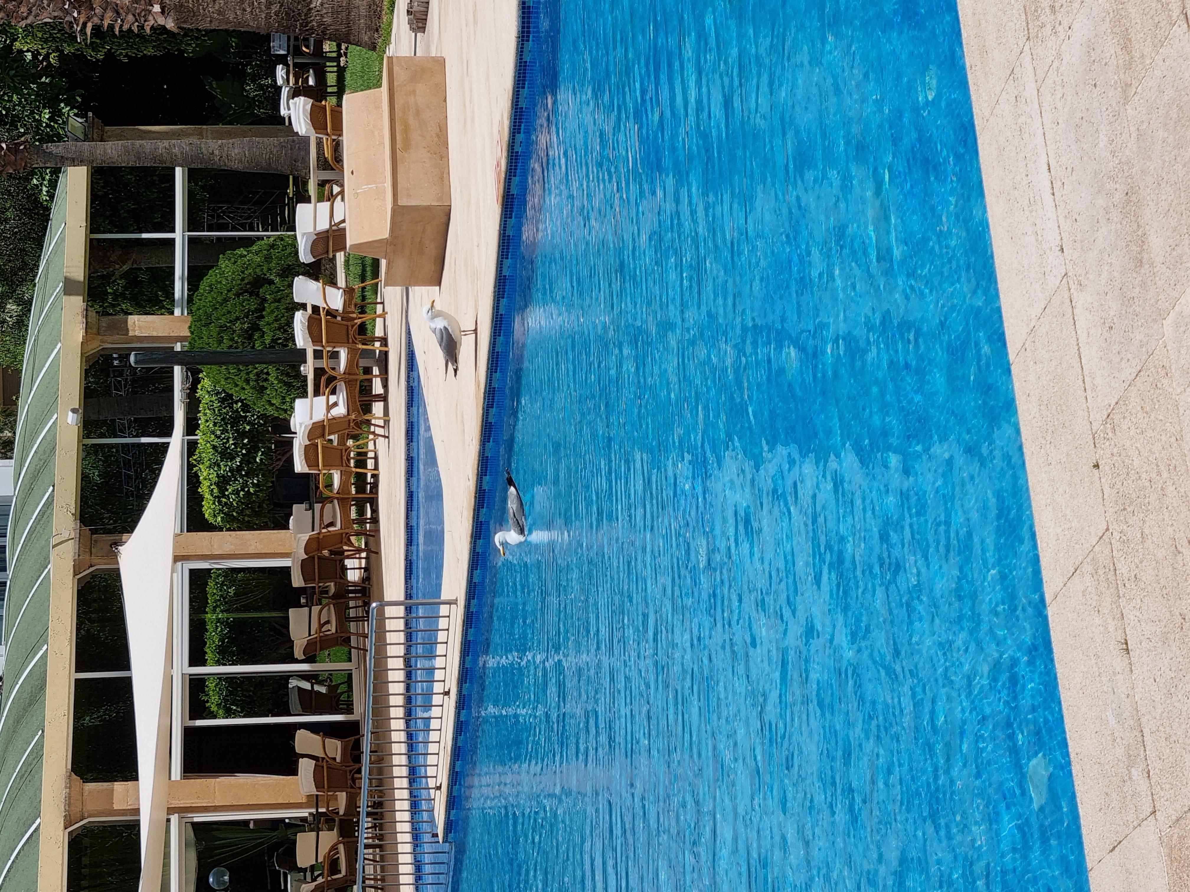 El Oumnia Puerto & Spa Tangier Exterior photo